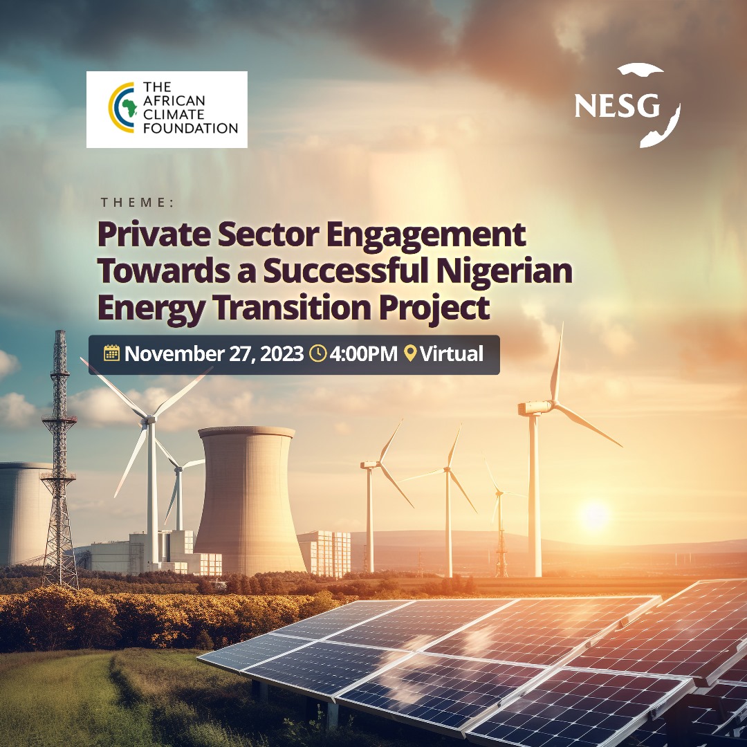 NESG Holds Private Sector Engagement Towards a Successful Nigerian Energy Transition Project